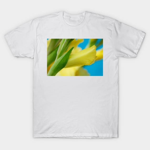 Gladiolus  'Jacksonville Gold' T-Shirt by chrisburrows